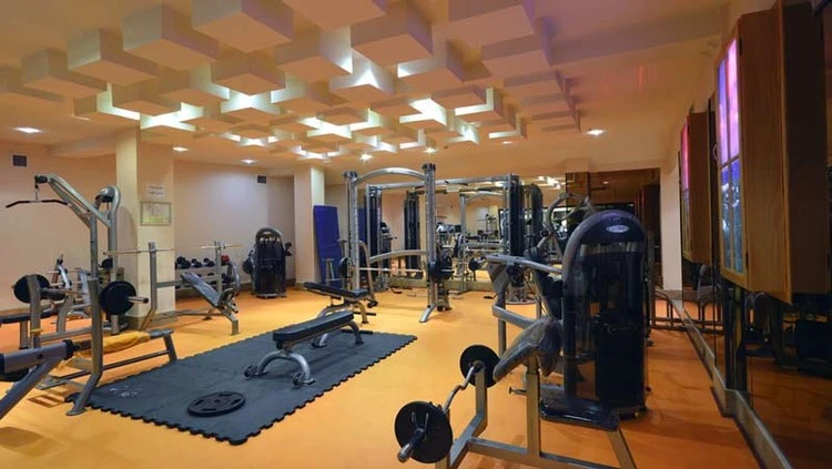 Espinas International Hotel Tehran Fitness Center