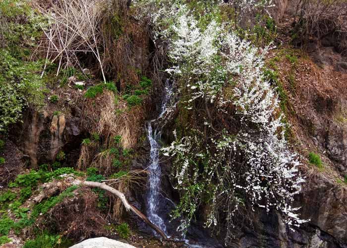 Picnic and hiking in Tehran Darband - HotelOneClick