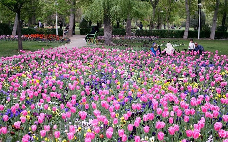flowers in Laleh Park in Tehran - HotelOneClick