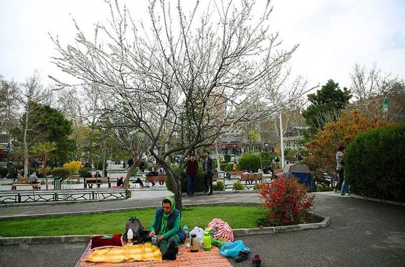 Picnic and photography mellat park