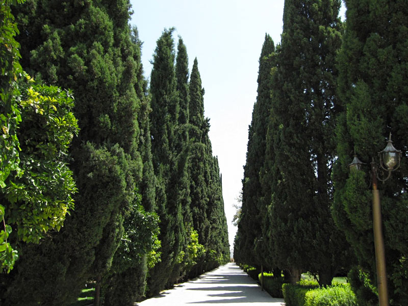 Cypresses’ Passage in Eram Garden