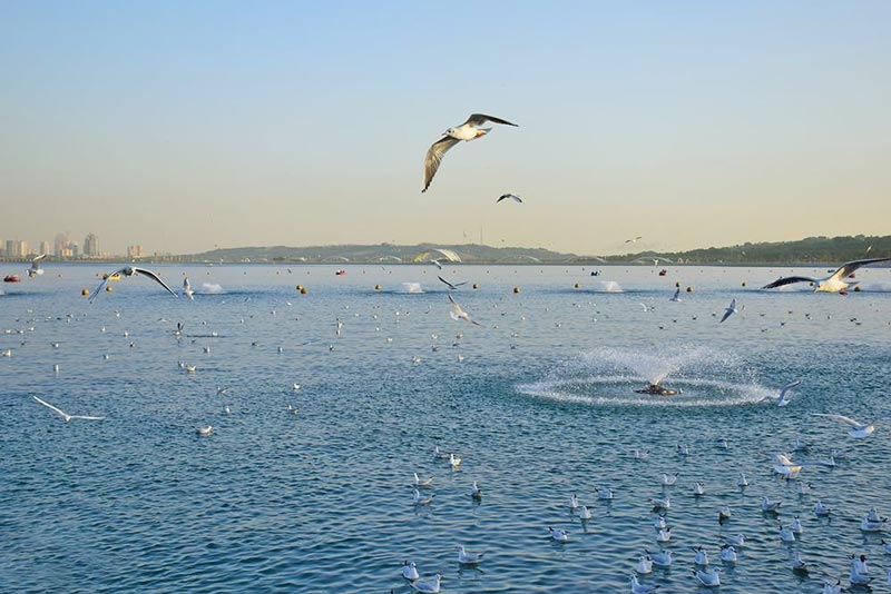 Chitgar artificial Lake