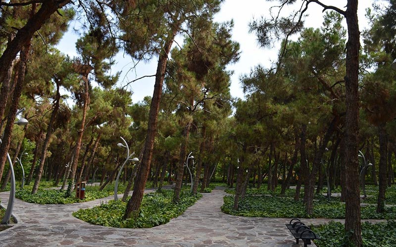 trees in Laleh Park in Tehran - HotelOneClick
