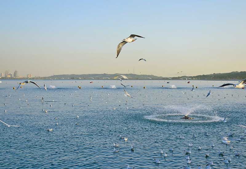 Chitgar Lake in side of Bamland