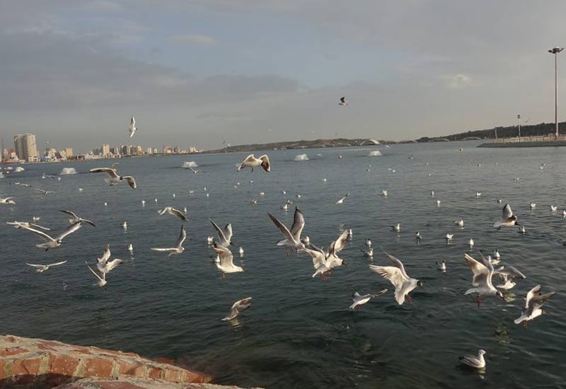 Chitagar lake , one of the best places near Espinas Palace hotel Tehran- HotelOneClick