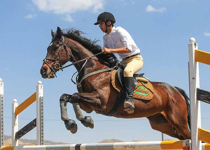 Abbas Abad Horse Riding Club  near to Espinas  Palace hotel in Tehran - HotelOneClick