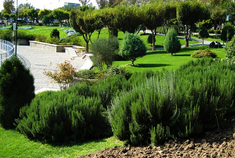 Almahdi Park in summer, one of the top 10 parks near Espinas Persian gulf hotel in Tehran