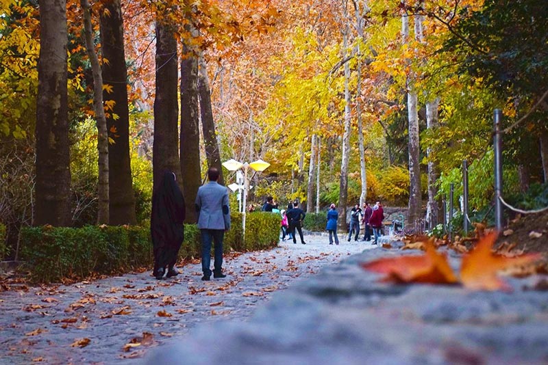 Hiking and mountaineering in Jamshidieh Park 