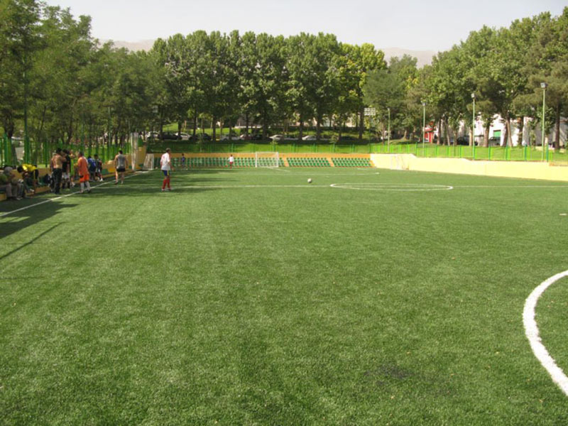  Artificial grass football field in Enghelab complex , one of the best sport complexes near Parsian Azadi hotel in Tehran